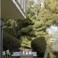  Annonces BOIS D'OINGT : Apartment | CALUIRE-ET-CUIRE (69300) | 92 m2 | 516 850 € 
